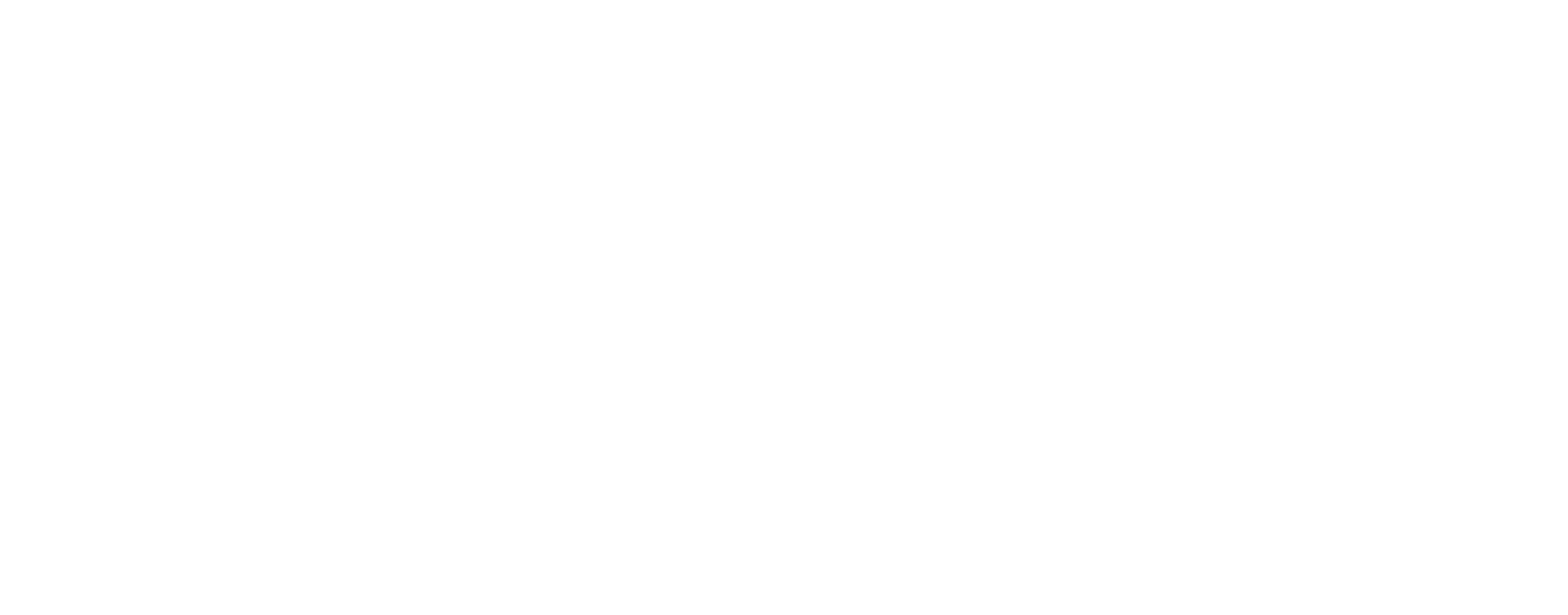 Flyte_Logotype_RGB_White