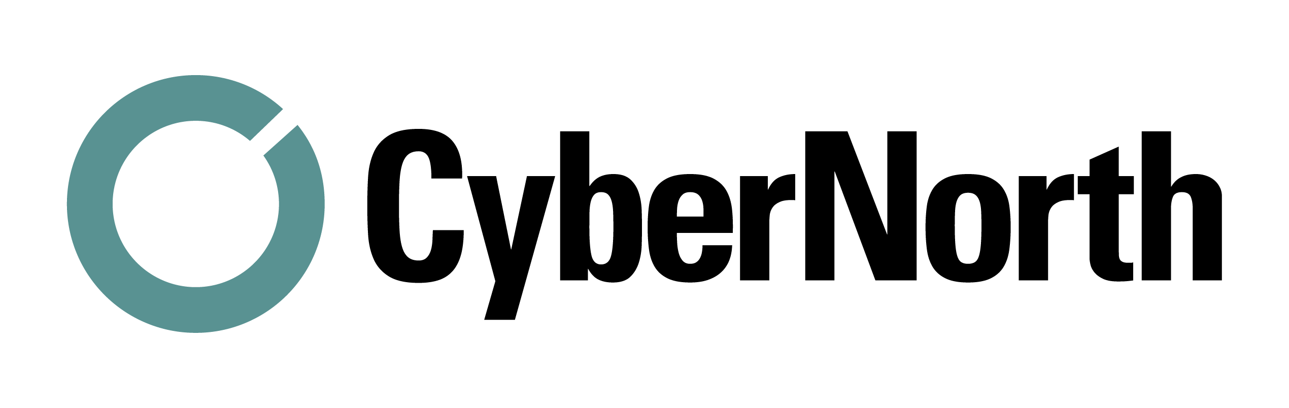 CyberNorth-logo